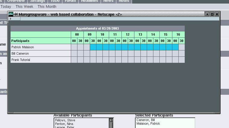 Participant overview